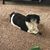 Valerie Donati's profile image