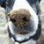 Marianne Siegwart's profile image