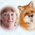 Fran Trautman's profile image