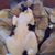 Michael J. McCoy's profile image