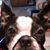 Ruth Ann Klueg's profile image