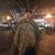 Gilberto Villalobos's profile image