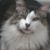 Grace Martin's profile image