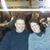 Tracey Morris's profile image