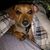 Michelle Thomas's profile image