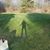 Caleb Marsland's profile image