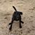 Wendee Phenix's profile image