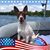 Donnie Pritzkau's profile image