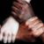 Jeanne Conway Lewis's profile image