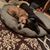 Cecil N Laurie Connor's profile image