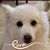 Sheryl Mitchell's profile image