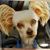 Pamela Unkel's profile image