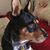 Patti Gelardi-Gast's profile image