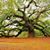 Debi Hebard's profile image
