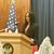 Anne Fotue Nghontamia's profile image