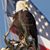Marianne Schlegelmilch's profile image
