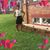 Keisha Laury's profile image