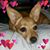 Debbie West's profile image