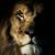 Gregory Siota's profile image