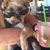Christine Walsh's profile image