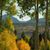 Judy B Ladebush-Heubach's profile image