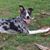 Oneida Brown Adams's profile image