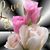 Andrea Byalas's profile image