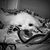 Krista Heij Barber's profile image