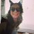 Stephanie Swift's profile image