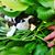 Pam Henderson Norby's profile image