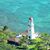 Bob-Carol DuFrane's profile image