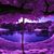 Clare Marie's profile image