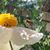 Karen Lawrence Paliska's profile image