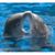 Kristie Martin Bowman's profile image