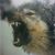 Vikar Wodenson's profile image