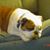 Patricia Bates Mull Shannon's profile image