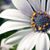 Nellie Loving-Jette's profile image