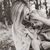 Andrea Lyons's profile image