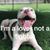 Diane Scales's profile image