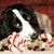 John Burke's profile image