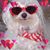 Lisa Neese's profile image