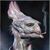 Larry Walter Hupp's profile image
