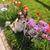 Diane Whitehouse's profile image