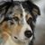 Nancy Grant's profile image