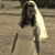 Erika Johnson-Faulkner's profile image