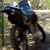 Cheston Benedict's profile image