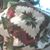 Doris Taylor's profile image