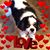 Sandy Izzo's profile image