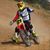 Hugo Michaux's profile image