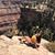 Jacqueline Reppucci's profile image